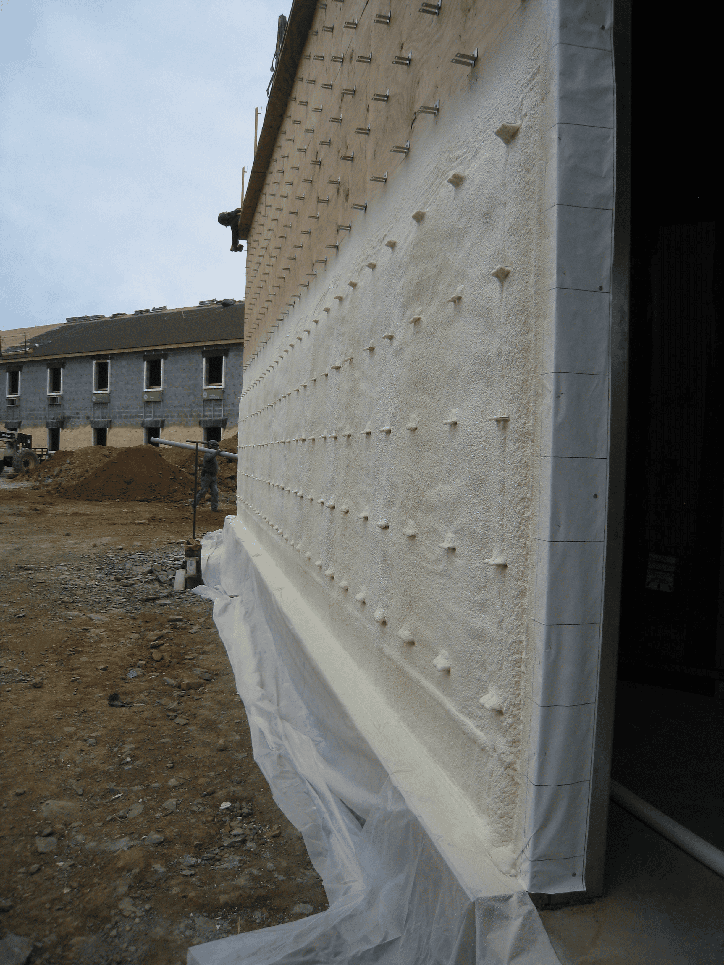 301131609-image