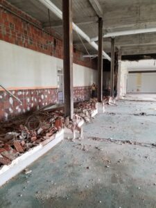 Fireproofing